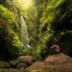 Wasserfall-im-Wald-von-Los-Tilos-auf-La-Palma